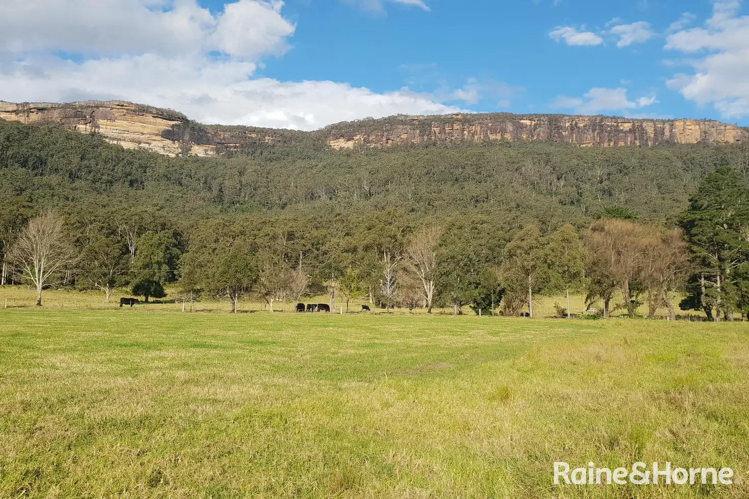 Main view of Homely land listing, LOT 201 Jarretts Road, Kangaroo Valley NSW 2577