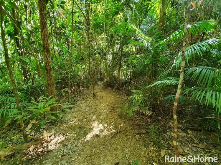 Second view of Homely land listing, LOT 332 Cape Tribulation Road, Cow Bay, Daintree QLD 4873