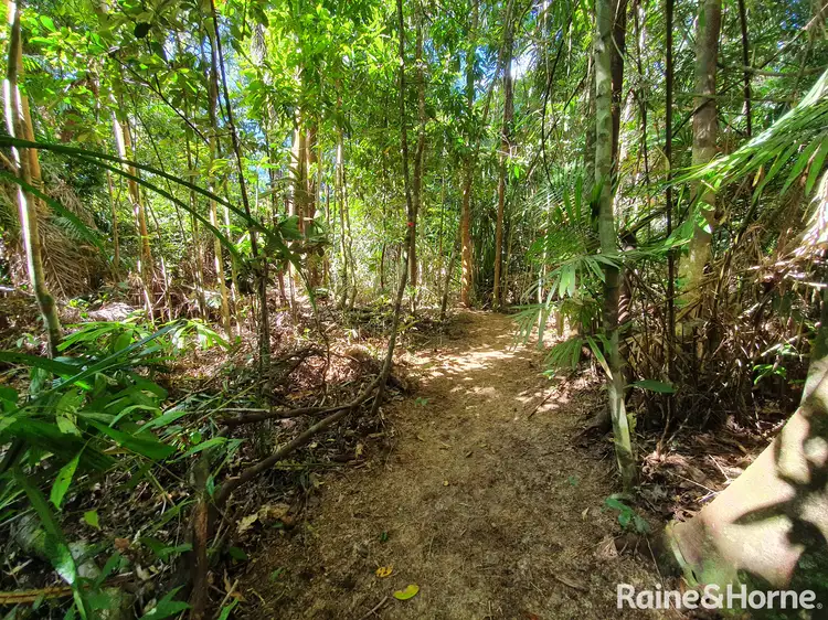 Third view of Homely land listing, LOT 332 Cape Tribulation Road, Cow Bay, Daintree QLD 4873