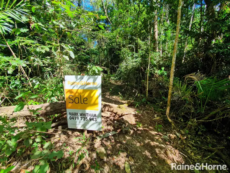 Fifth view of Homely land listing, LOT 332 Cape Tribulation Road, Cow Bay, Daintree QLD 4873