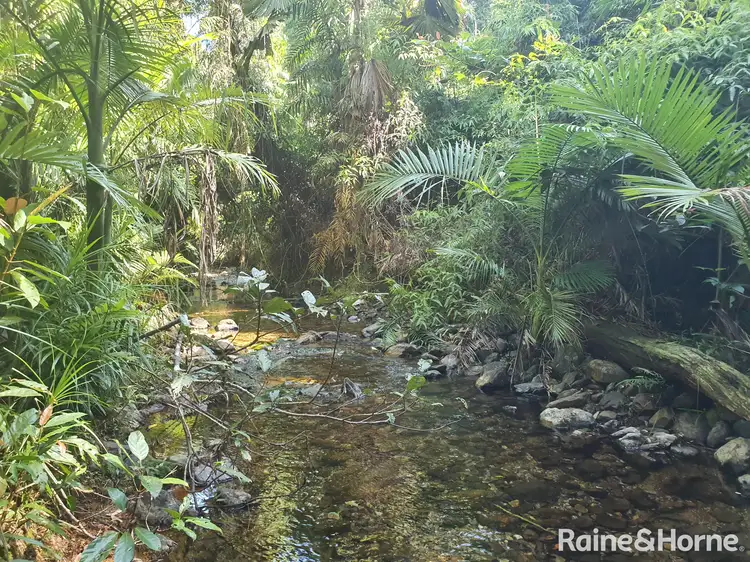 Seventh view of Homely land listing, LOT 332 Cape Tribulation Road, Cow Bay, Daintree QLD 4873