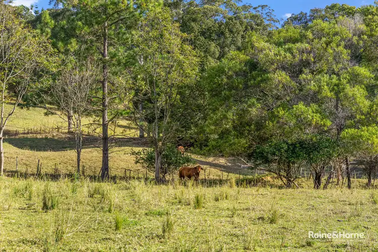 Third view of Homely house listing, 405 Fernvale Road, Fernvale NSW 2484