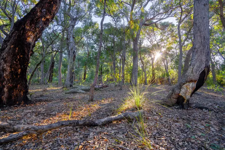 Sixth view of Homely land listing, Lot 49 Prospect Close, Quindalup WA 6281