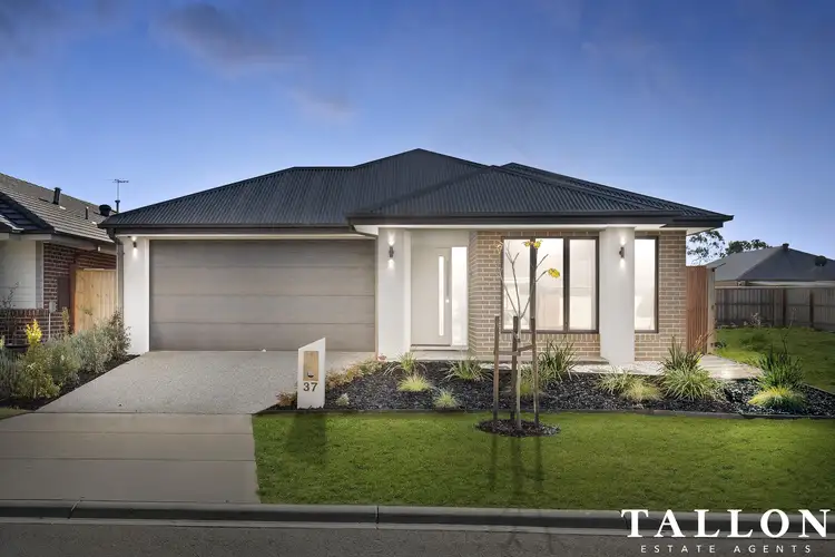 Main view of Homely house listing, 37 Cutwater Street, Hastings VIC 3915