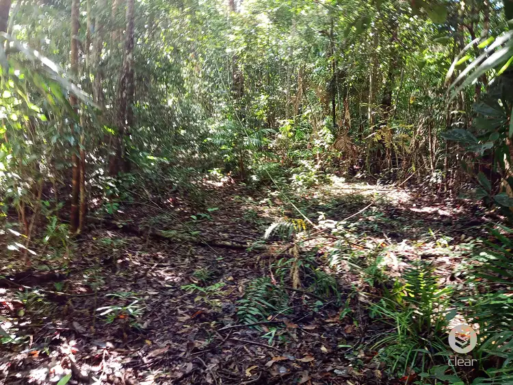 Seventh view of Homely land listing, 213 Teak Road, Cow Bay, Daintree QLD 4873