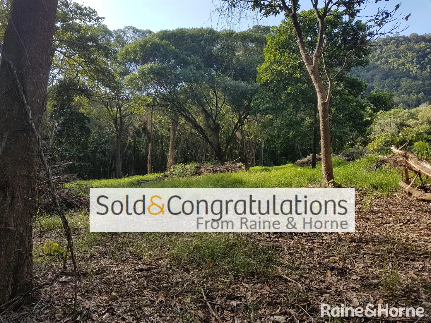 Main view of Homely land listing, 54 George Road, Forest Creek QLD 4873