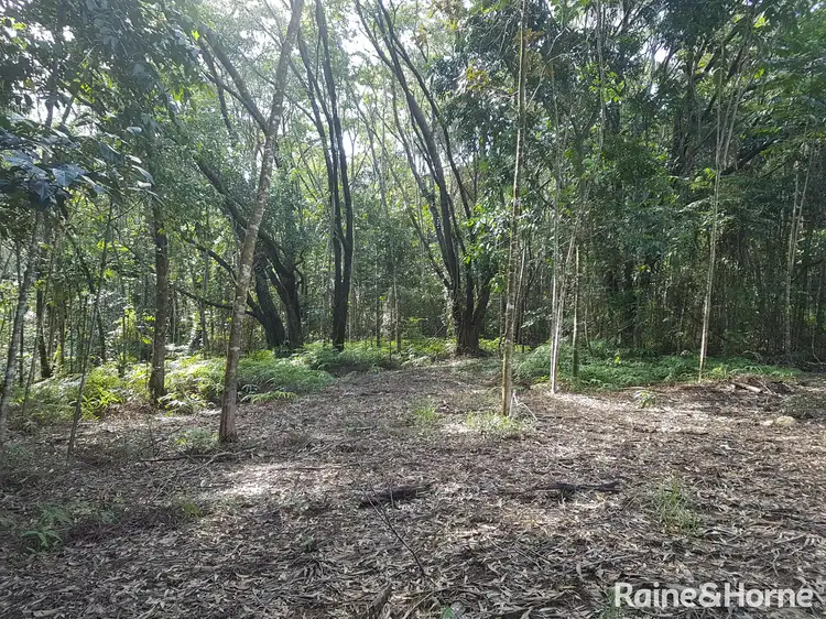 Seventh view of Homely land listing, 54 George Road, Forest Creek QLD 4873
