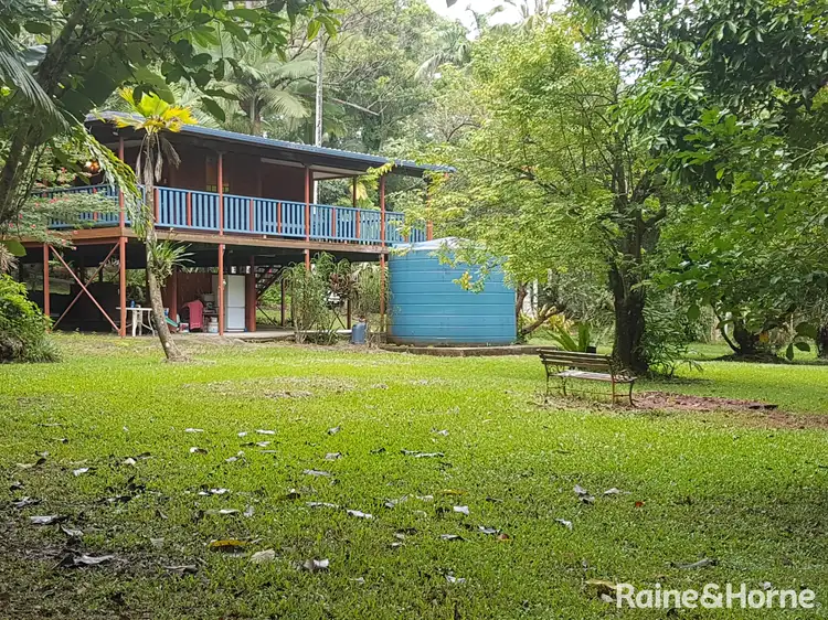 Fourth view of Homely house listing, 83 Thornton Peak Drive, FOREST CREEK, Daintree QLD 4873
