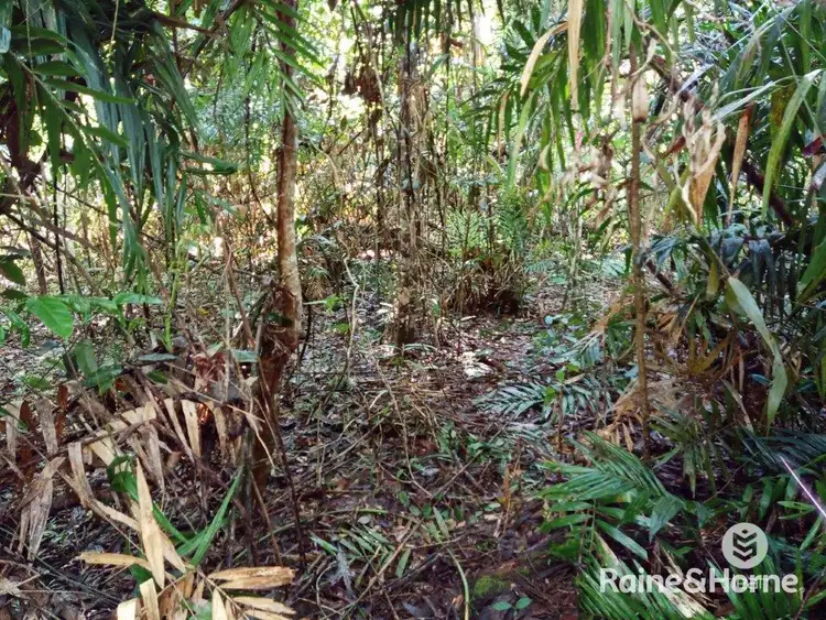 Seventh view of Homely land listing, 242 White Beech Road COW BAY, Daintree QLD 4873