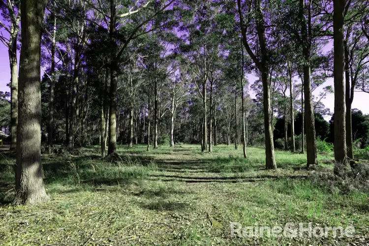 Second view of Homely land listing, 15 Mahogany Place, Medowie NSW 2318