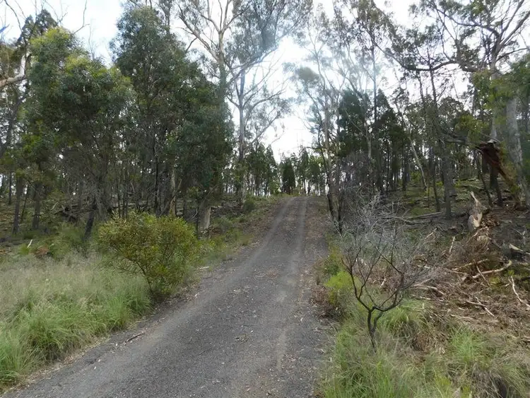 Second view of Homely other listing, 46 Hawkins Lane, Coonabarabran NSW 2357