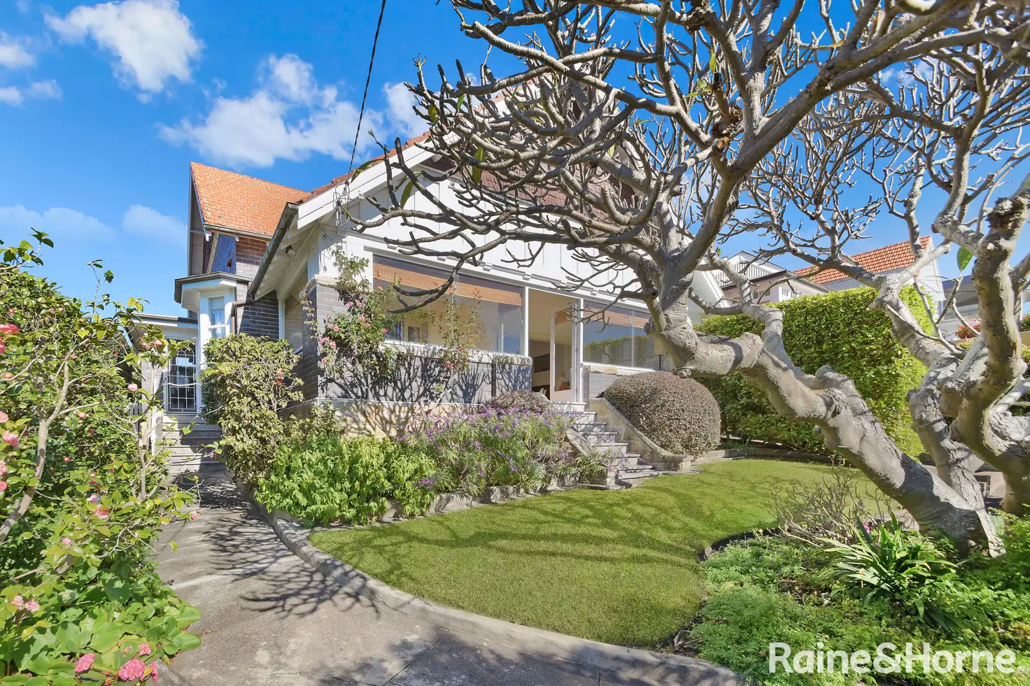 Main view of Homely house listing, 16 David Street, Mosman NSW 2088