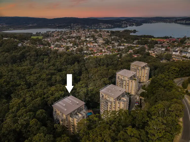 Main view of Homely apartment listing, 464/80 John Whiteway Drive, Gosford NSW 2250