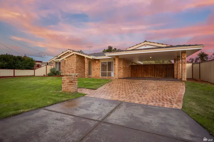 Main view of Homely house listing, 14 Sutcliffe Close, Seville Grove WA 6112