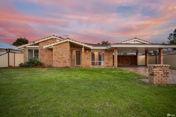 Second view of Homely house listing, 14 Sutcliffe Close, Seville Grove WA 6112