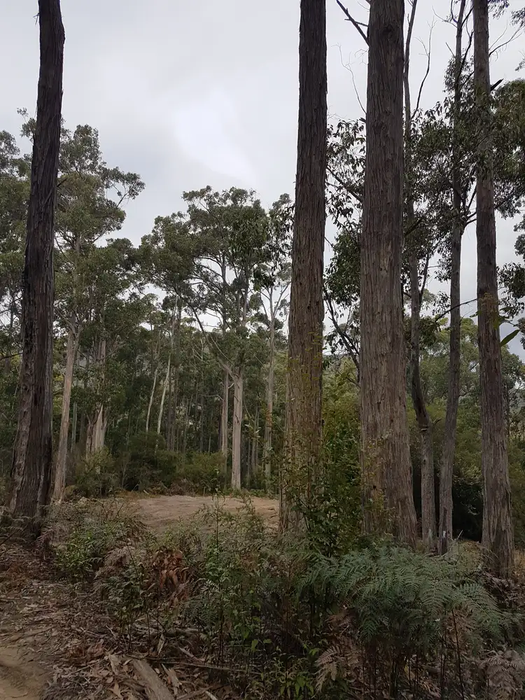 Sixth view of Homely land listing, 206A Old Jetty Road, Eaglehawk Neck TAS 7179