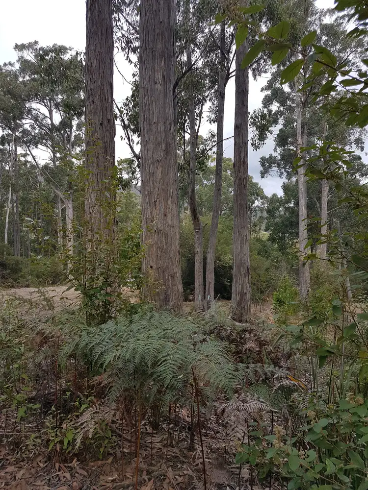 Seventh view of Homely land listing, 206A Old Jetty Road, Eaglehawk Neck TAS 7179