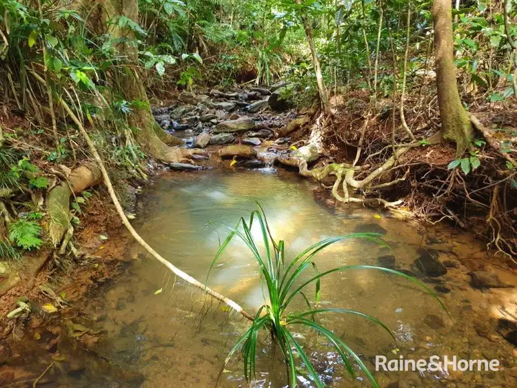 Third view of Homely house listing, 109 Spurwood Road, Cow Bay, Daintree QLD 4873