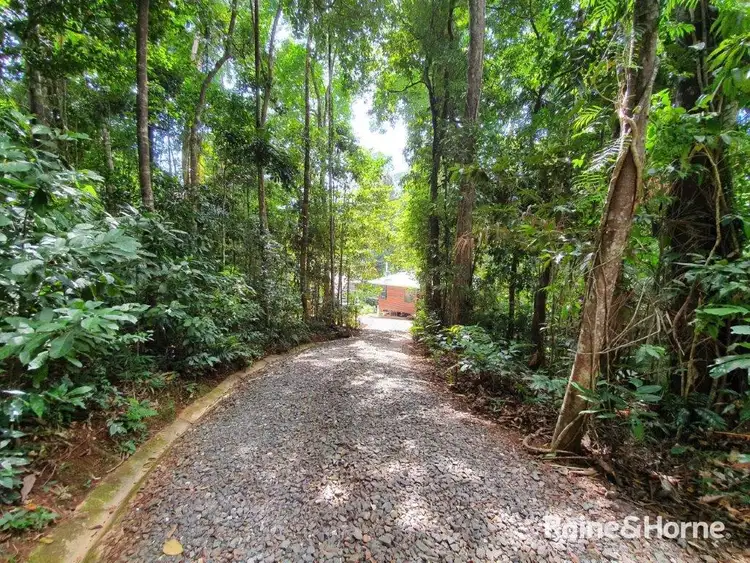Fifth view of Homely house listing, 109 Spurwood Road, Cow Bay, Daintree QLD 4873
