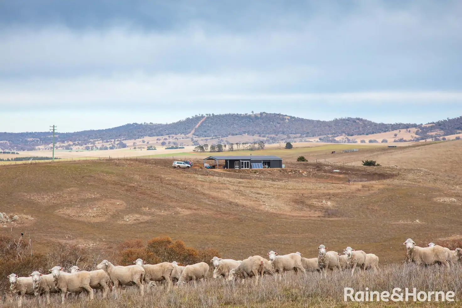 Main view of Homely rural property listing, 645 Matong Road, Numbla Vale NSW 2628