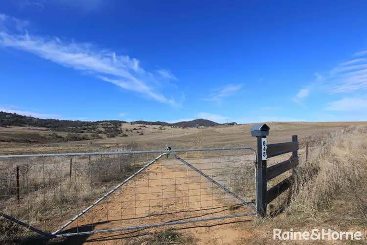 Third view of Homely rural property listing, 645 Matong Road, Numbla Vale NSW 2628