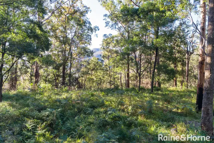 Third view of Homely land listing, Lot 4 Selbys Road, Budgong NSW 2577