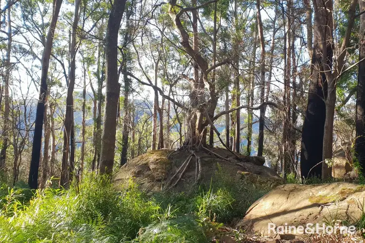 Sixth view of Homely land listing, Lot 4 Selbys Road, Budgong NSW 2577