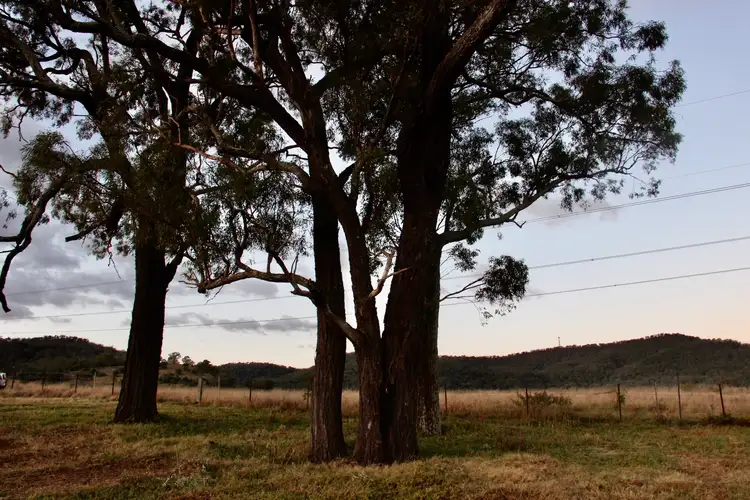 Sixth view of Homely land listing, 56 Bhima Drive, Scone NSW 2337