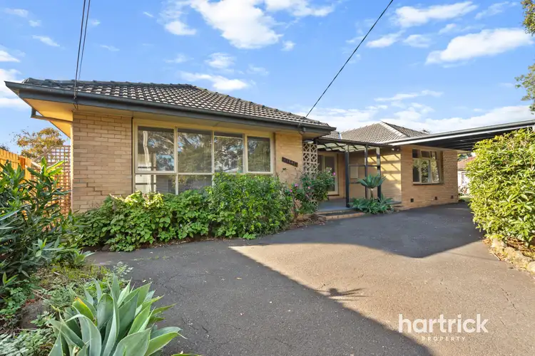 Main view of Homely house listing, 10 Sharan Avenue, Mentone VIC 3194