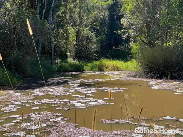 Sixth view of Homely house listing, 240 Schreibers Road, Cooran QLD 4569