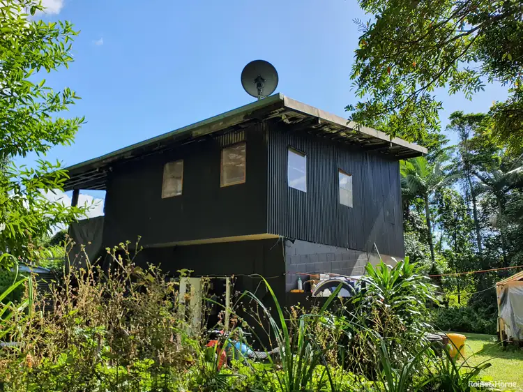 Third view of Homely house listing, 16 Spurwood Road, COW BAY, Daintree QLD 4873
