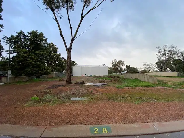 28 Williamson Street, Three Springs WA 6519