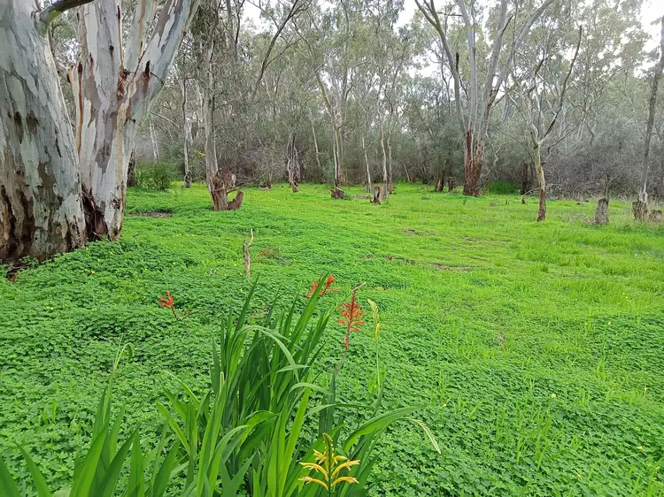 Fifth view of Homely land listing, 608 Lyndoch Valley Road, Williamstown SA 5351