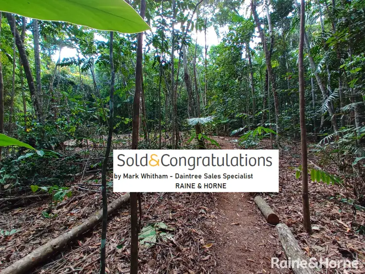 62 George Road, FOREST CREEK, Daintree QLD 4873