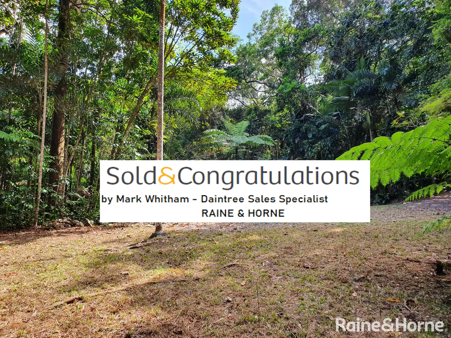 Main view of Homely land listing, 56 George Road, FOREST CREEK, Daintree QLD 4873