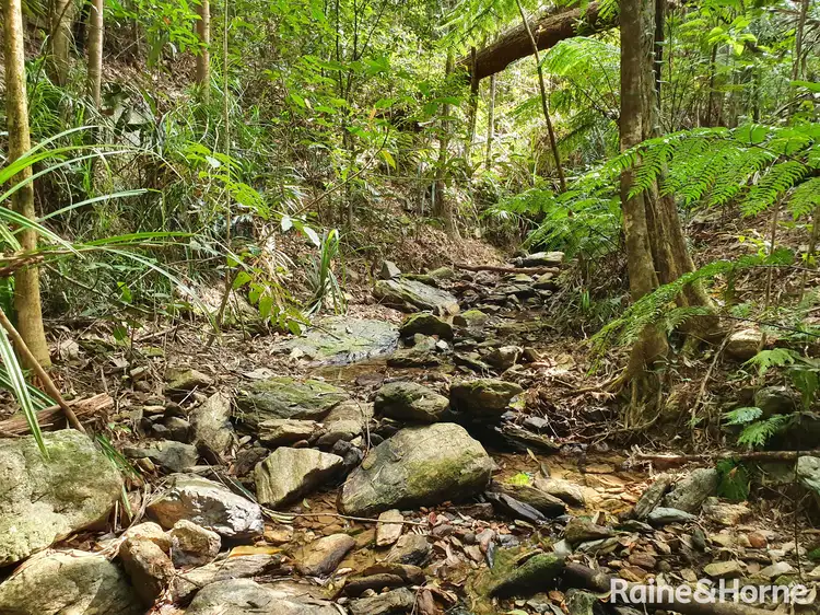 Sixth view of Homely land listing, 56 George Road, FOREST CREEK, Daintree QLD 4873