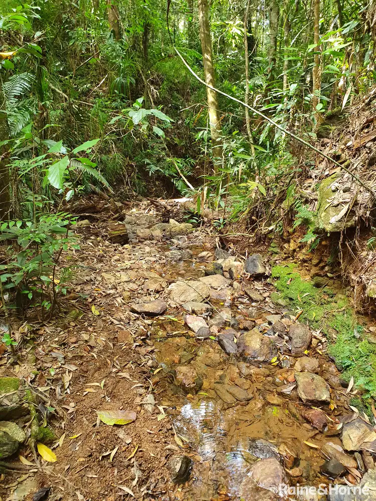Seventh view of Homely land listing, 56 George Road, FOREST CREEK, Daintree QLD 4873