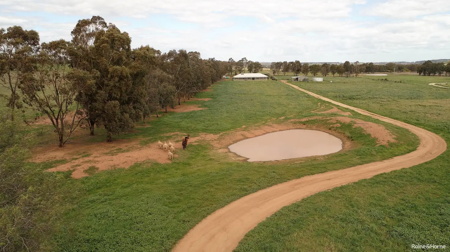 Main view of Homely house listing, 542 Cookamidgera Road, Parkes NSW 2870