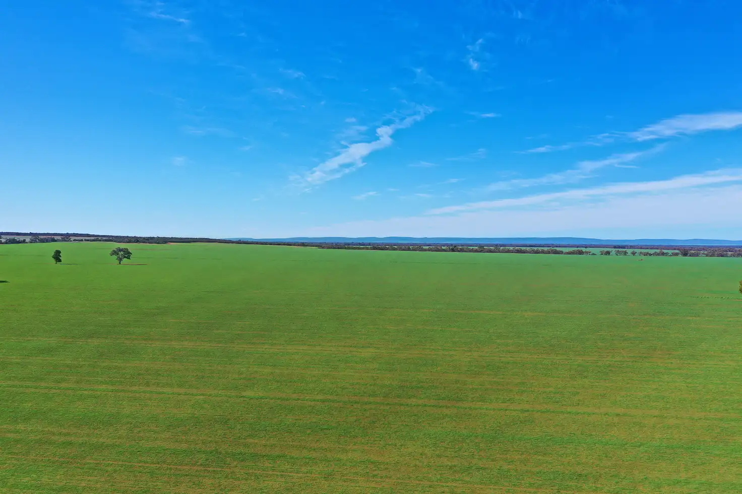 Main view of Homely rural property listing, Address available on request