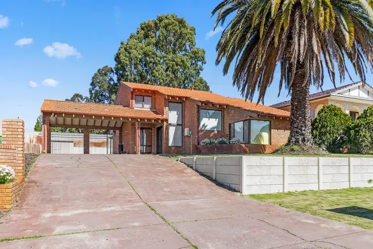 Main view of Homely house listing, 24 Grose Way, Noranda WA 6062