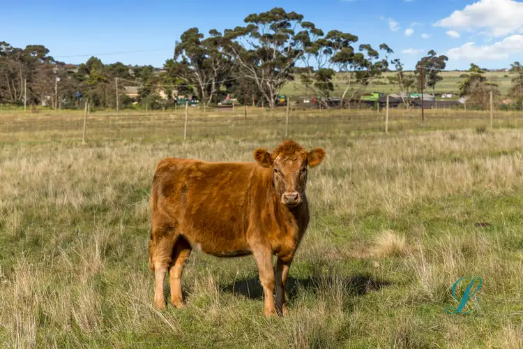 Fifth view of Homely land listing, 9/62 Holden Road, Diggers Rest VIC 3427