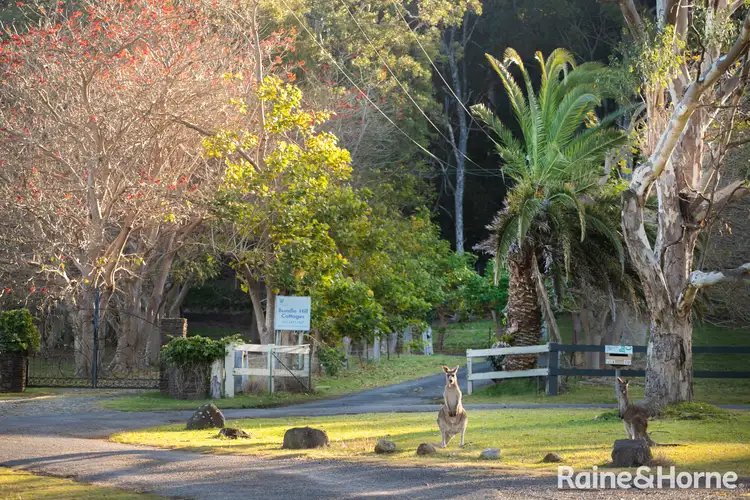 Fifth view of Homely rural property listing, 65B Bundle Hill Road, Bawley Point NSW 2539
