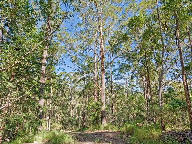 Sixth view of Homely land listing, LOT 2, 268 Doyle Road, Reesville QLD 4552