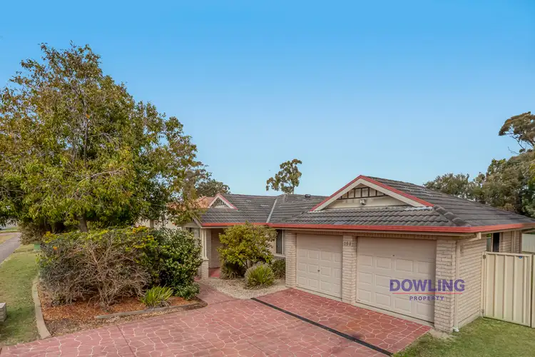 Main view of Homely house listing, 151 Kindlebark Drive, Medowie NSW 2318