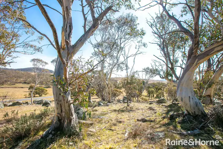 Fifth view of Homely rural property listing, 461 Barry Way, Jindabyne NSW 2627