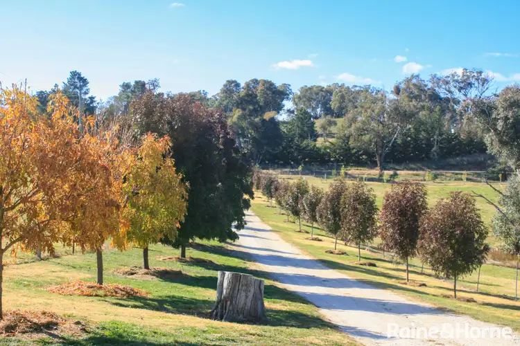 Sixth view of Homely house listing, 194 Gestingthorpe Road, Perthville NSW 2795