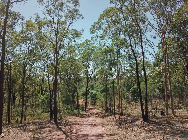 Main view of Homely rural property listing, 5857 Gayndah Hivesville Road, Hivesville QLD 4612