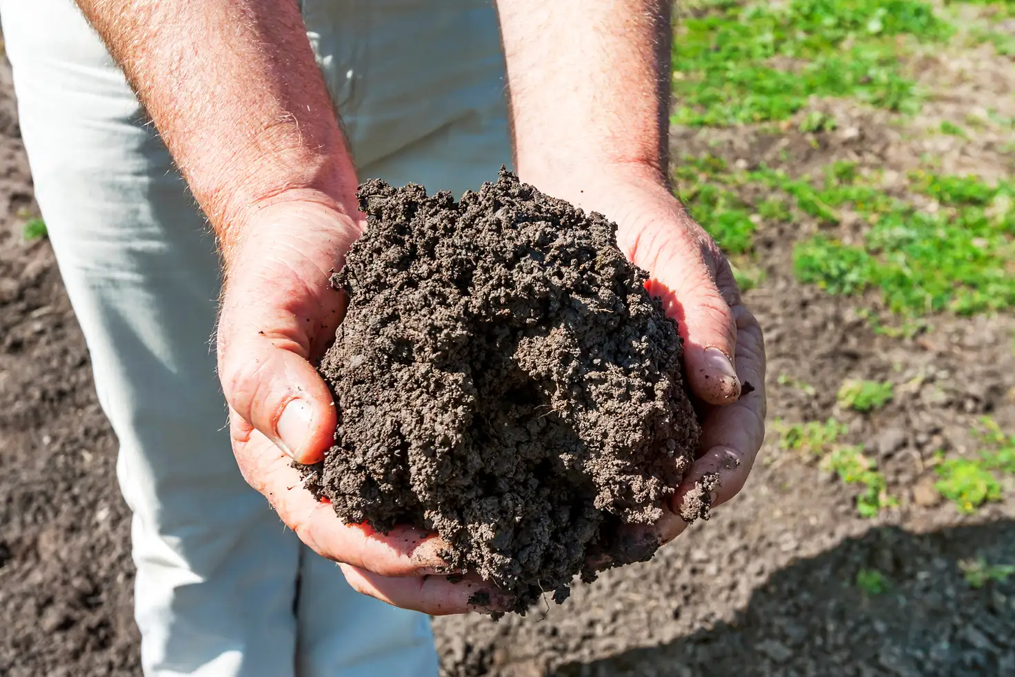 Main view of Homely rural property listing, 76 Gap Road, Werris Creek NSW 2341