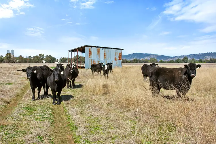 Seventh view of Homely rural property listing, 76 Gap Road, Werris Creek NSW 2341