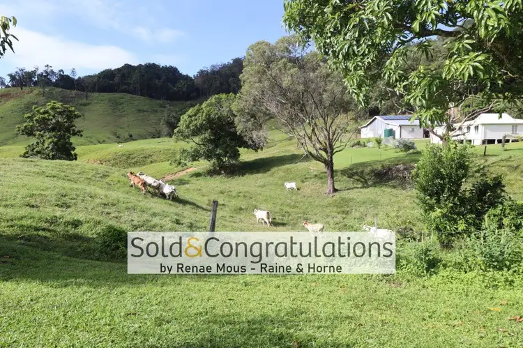 LOT 310 3-5 Daly Street, Daintree QLD 4873